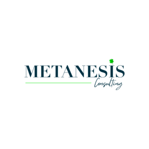 Metanesis Consulting