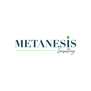 Metanesis Consulting